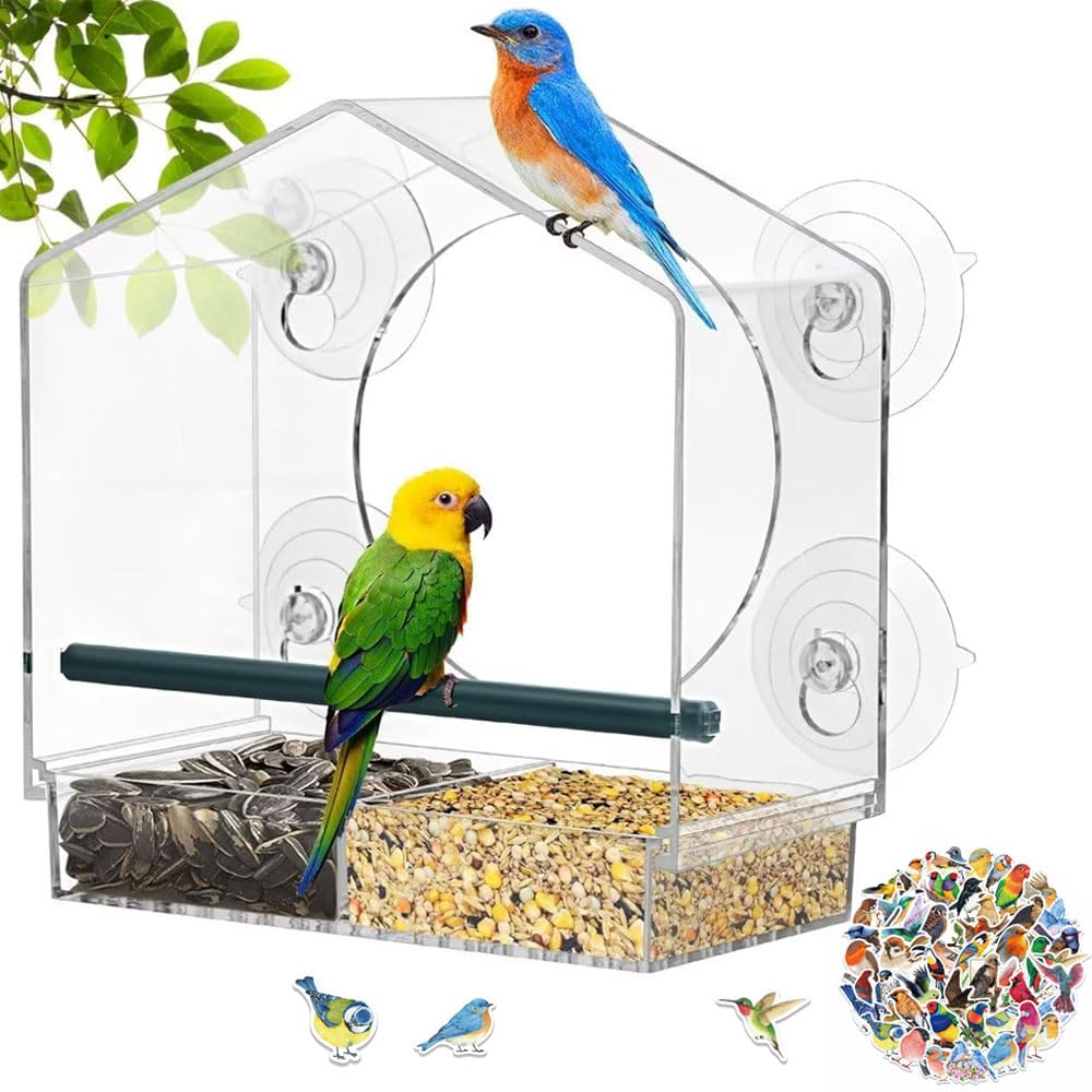 Mangeoire à oiseaux en acrylique transparent pour oiseaux Montage sur fenêtre