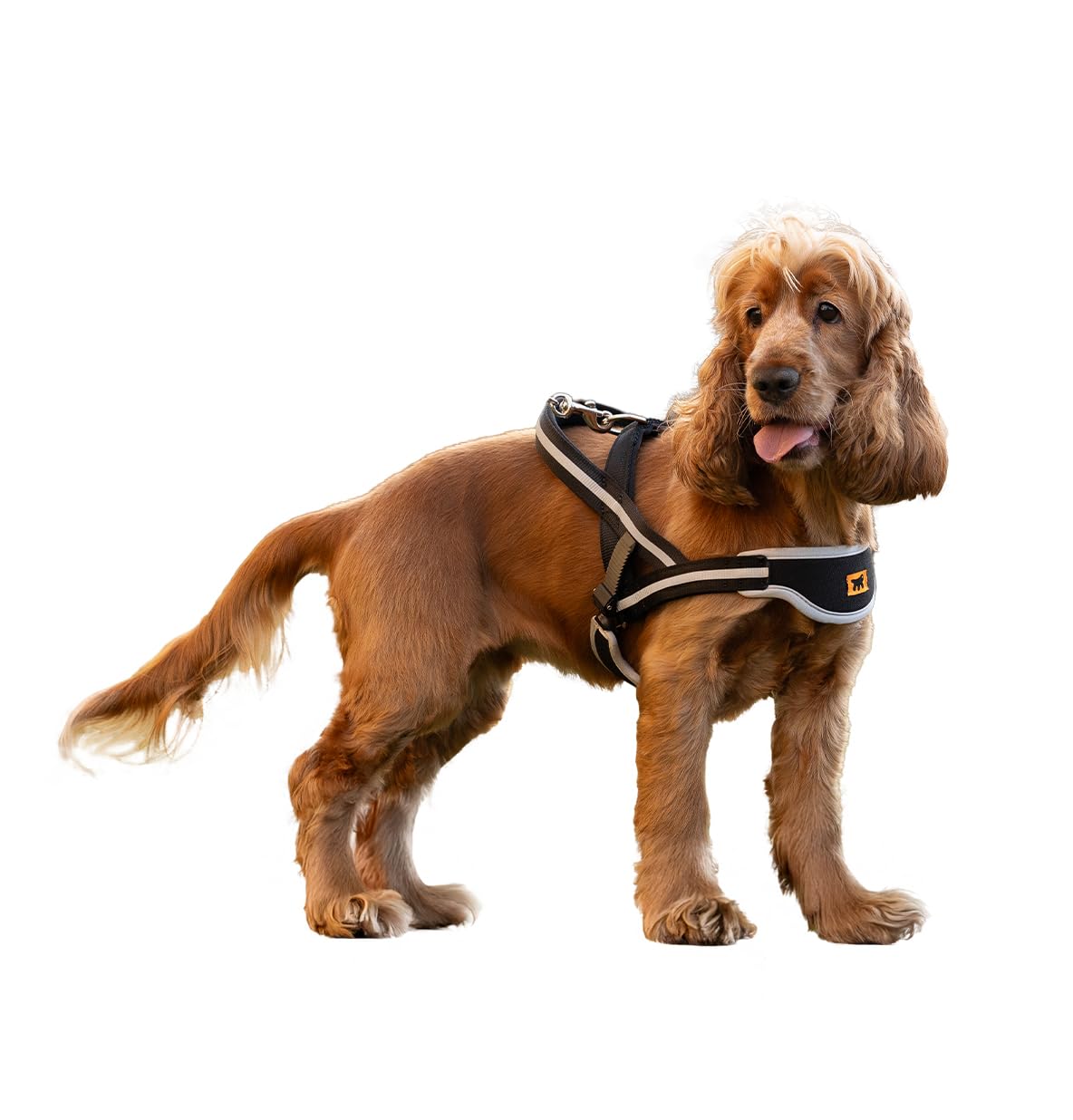 Ferplast Harnais Chien de taille moyenne ERGOCOMFORT NORDIC, Harnais pour chien rembourré, Réfléchissant, Facile à porter et à régler, Dégagement rapide, PETIT, Poitrine 59-67 cm.