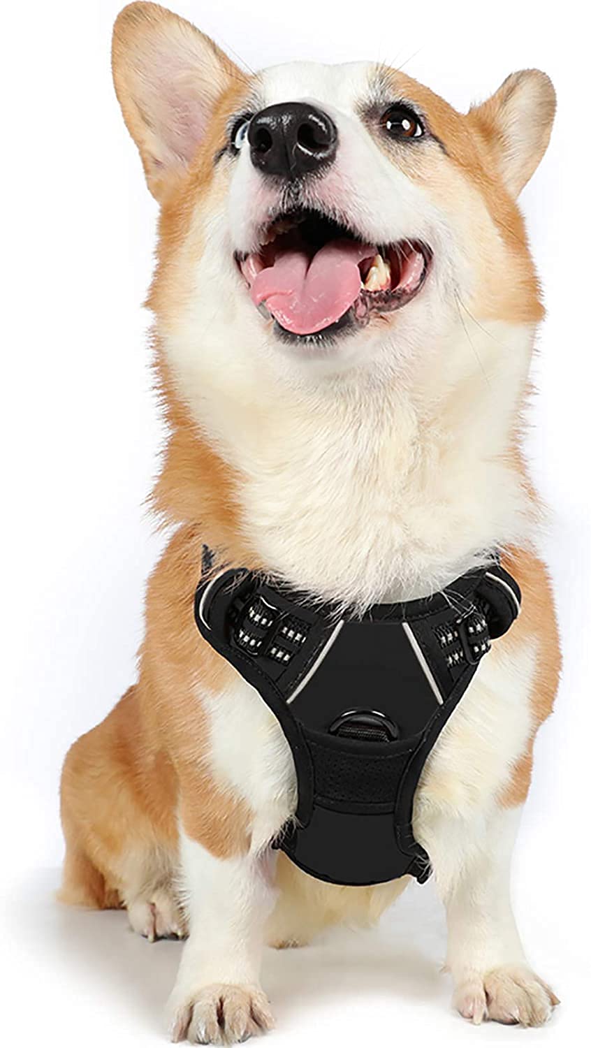 Rabbitgoo Harnais Chien Réglable Gilet Chien avec Poignée Contrôle Harnais Réfléchissant Matériau Respirante Durable Couleur Noir Taille M