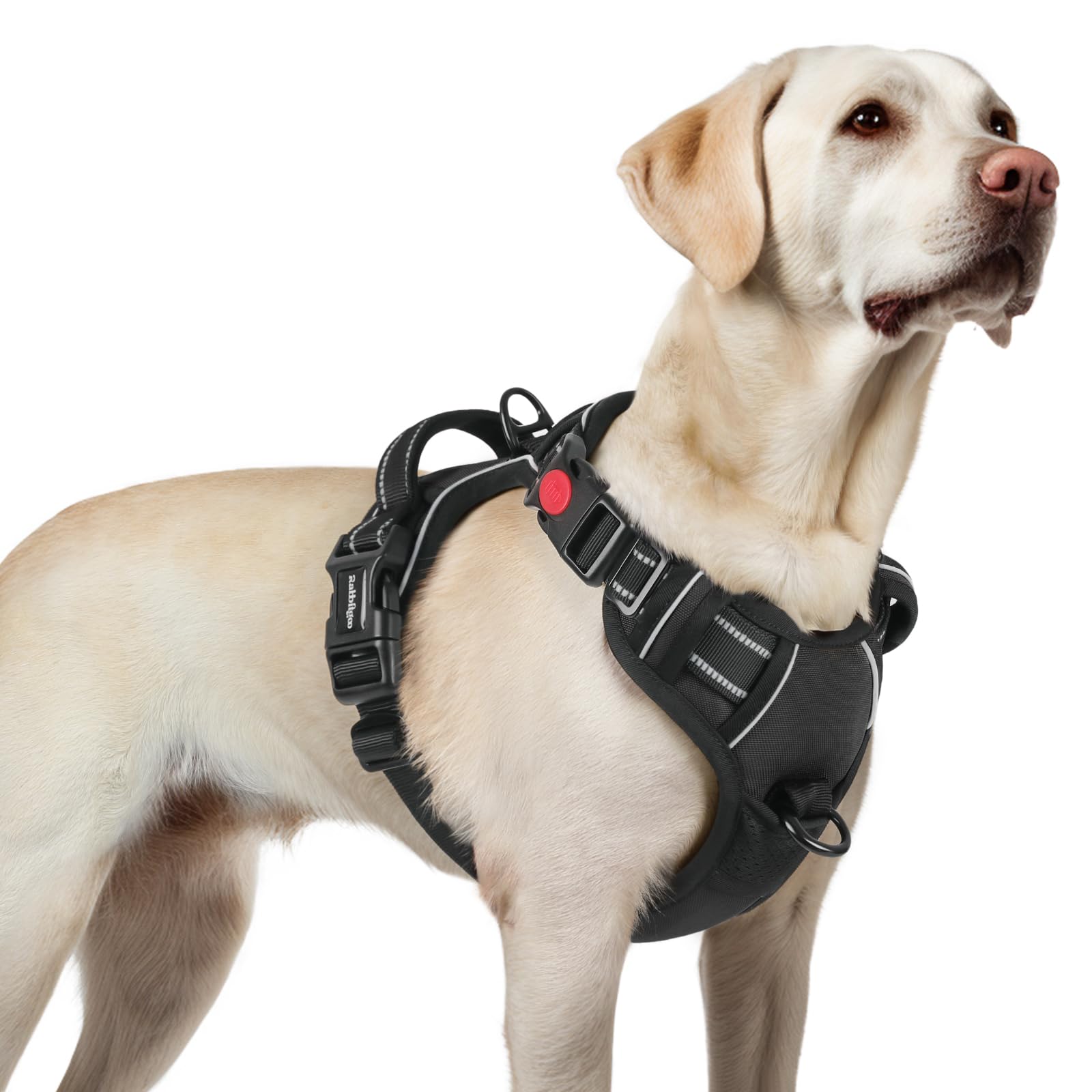 rabbitgoo Harnais Chien avec 3 Boucles, Facile à Mettre et à Enlever, Harnais Anti Traction pour Chien avec Poignée et Attache Devant, Réglable, Réfléchissant, Arnet pour Chiens Grand, Noir, L