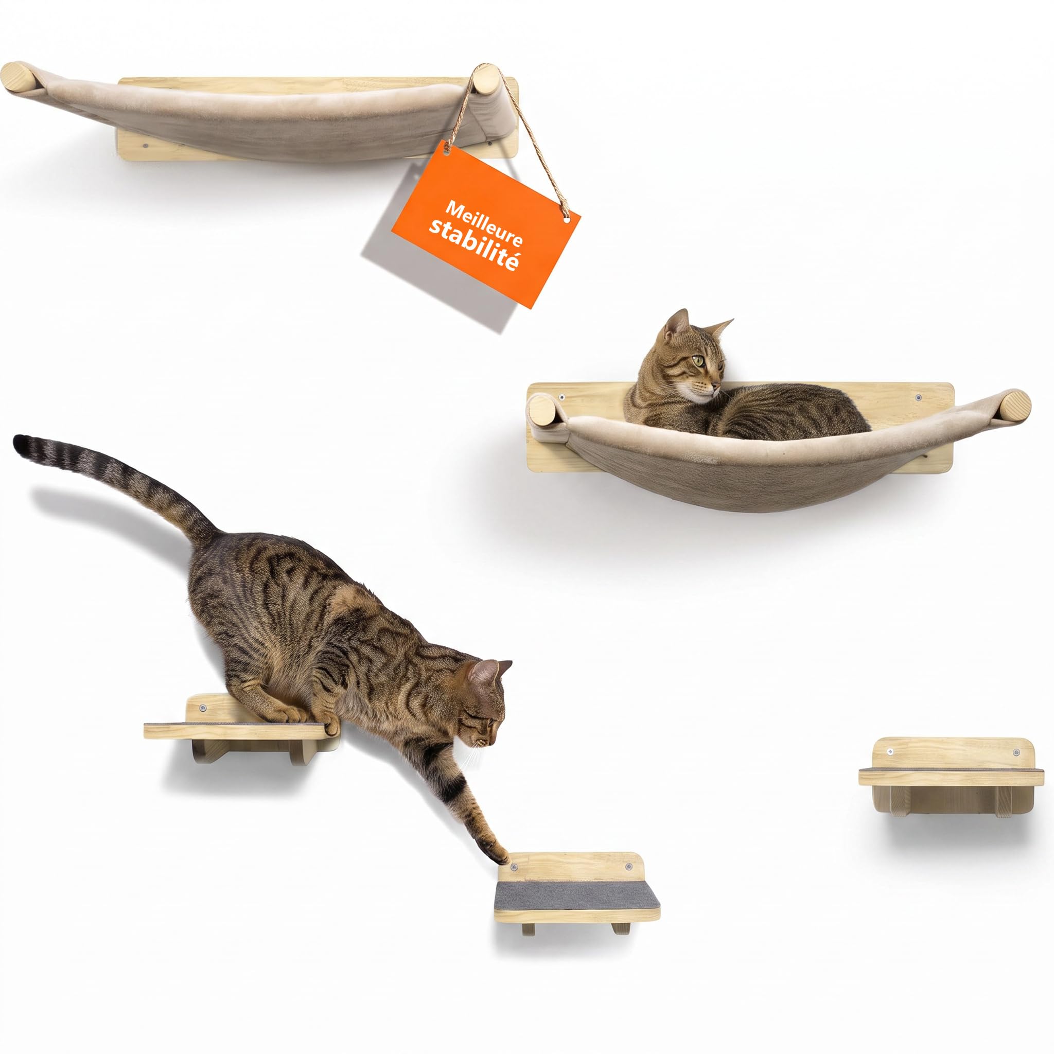 WOOWOOD® Mur d’Escalade pour Chat avec hamac Mural, 3 escaliers muraux, Arbre Mural, Set 5 pièces, Naturel foncé, Bois Clair Naturel