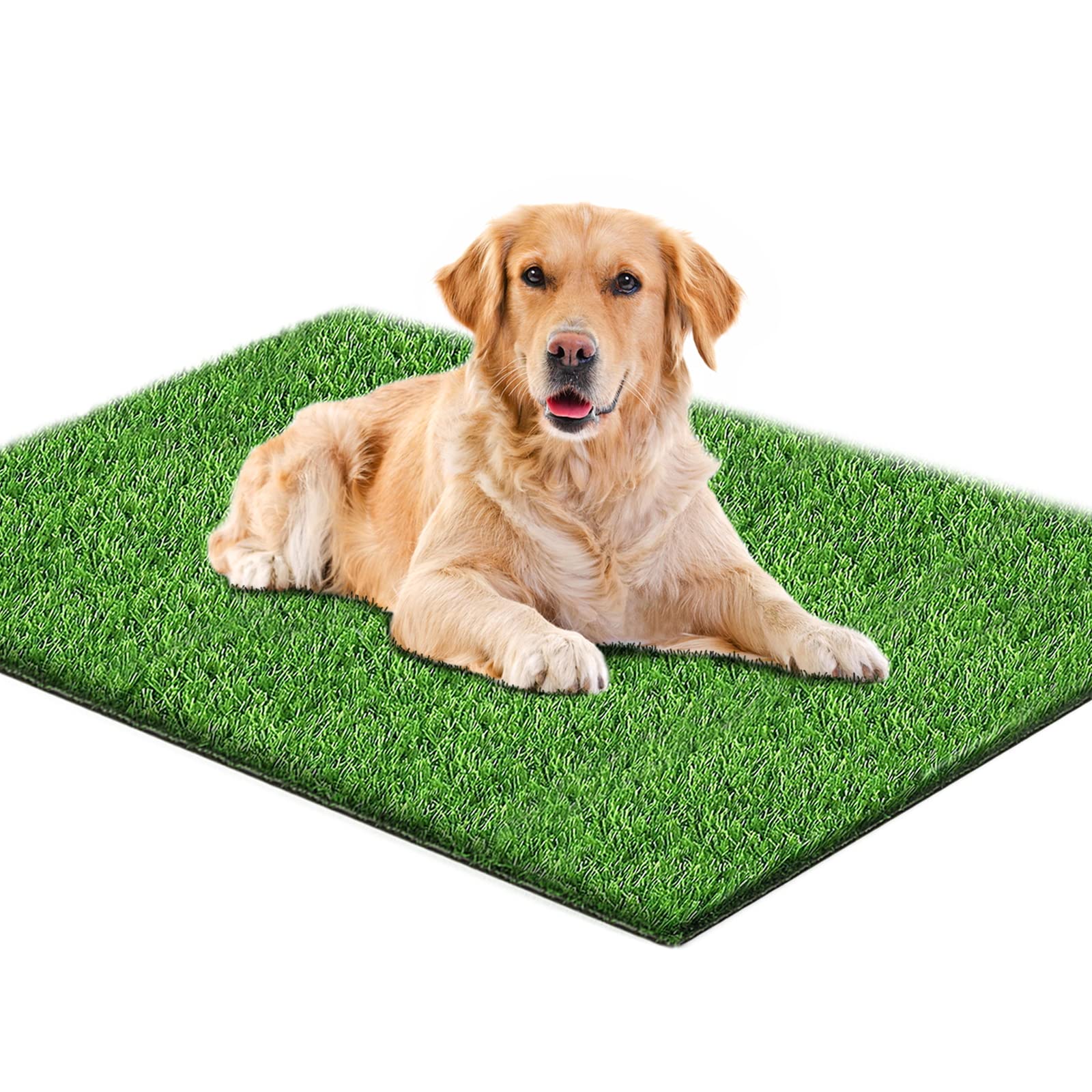 SSRIVER 80X100cm - Litière pour Chien - pour la Maison et Le Balcon - pour l'entraînement des Chiots - avec Gazon Artificiel - Idéal pour l'appartement et Le Balcon