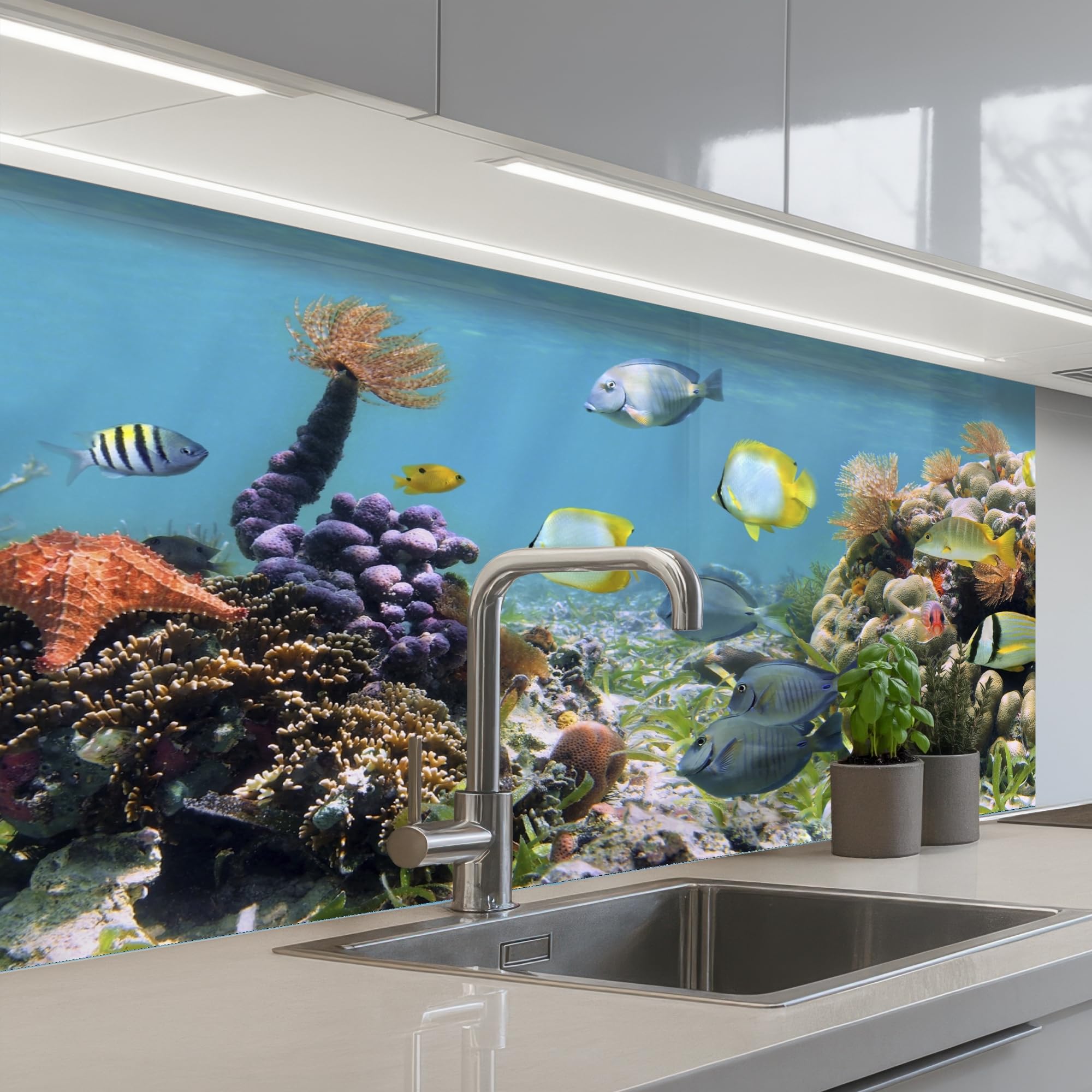 KitchenYeah© Credence Cuisine Adhesif Protection Mur Plaque De Cuisson | 60x100 cm - Plastique Rigide Revetement Murale À Coller Eau - Coraux - Poissons - Lumière