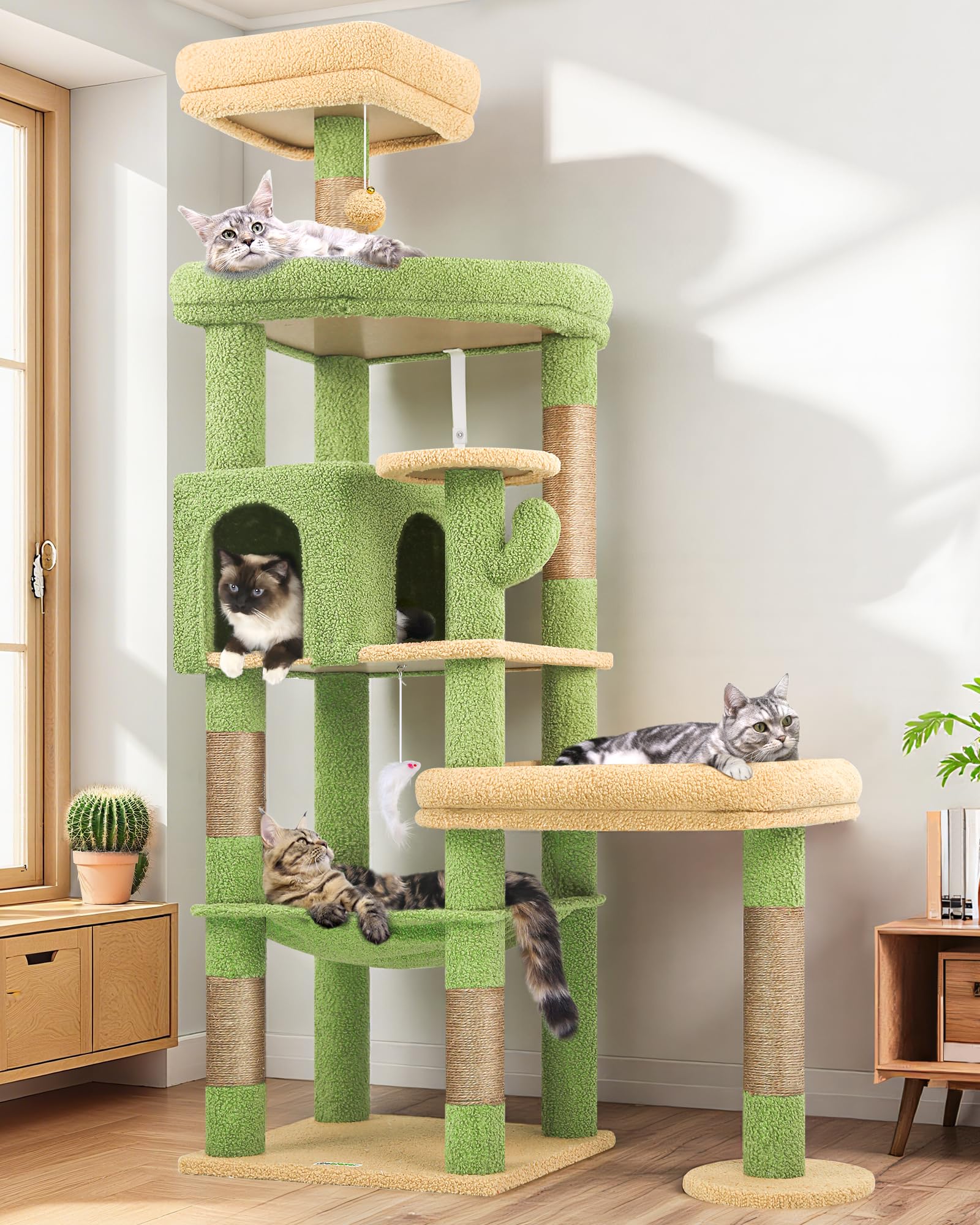 Globlazer S65 Arbre a Chat Cactus Vert Stable pour 2/3/4 Grand Chats 165 cm | Arbre à Chat avec Soutien avec 2 Grandes Plateforme, Extrlarge Hamac, Niche, Robuste et Sûr, pour Grand Chats Adult Intérieur